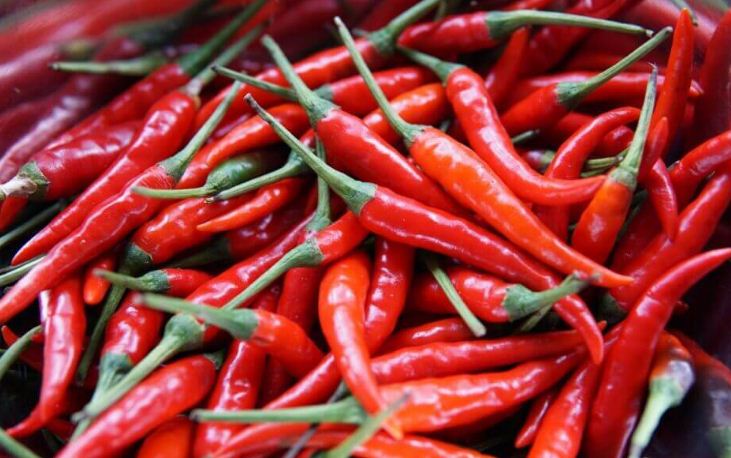 piment.jpg