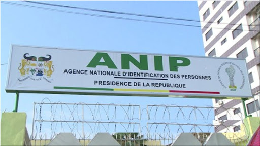 anip_2-4.jpg