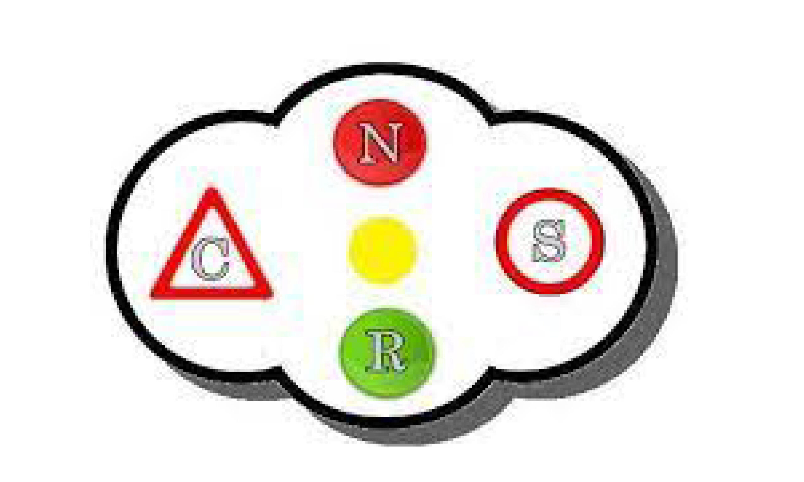 cnsr_format.jpg