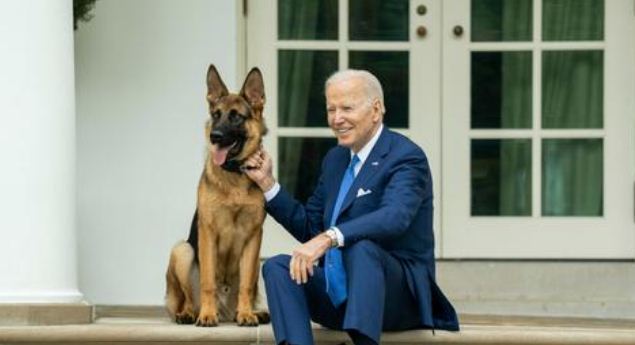 Joe Biden : le président américain se sépare définitivement de son chien (la raison)