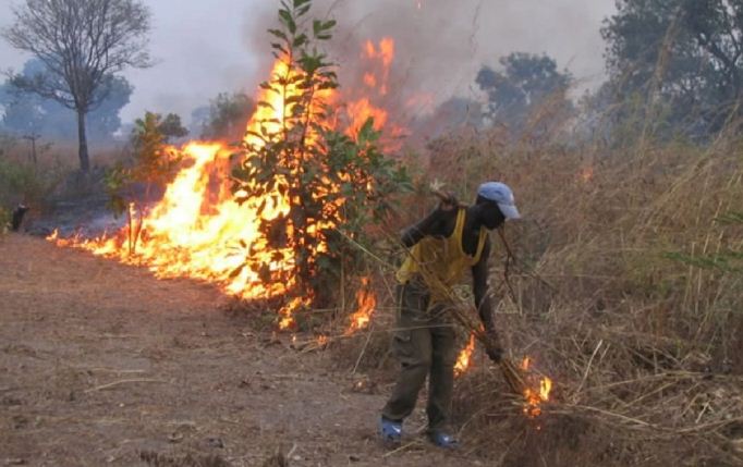 Drame : un planteur met le feu à sa parcelle et périt dans l’incendie