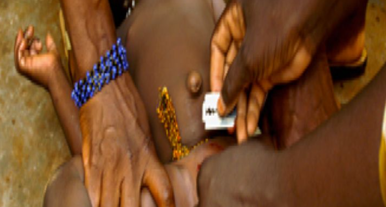 Côte d’Ivoire : le gouvernement réagit à une affaire de trafic présumé de clitoris de femmes excisées