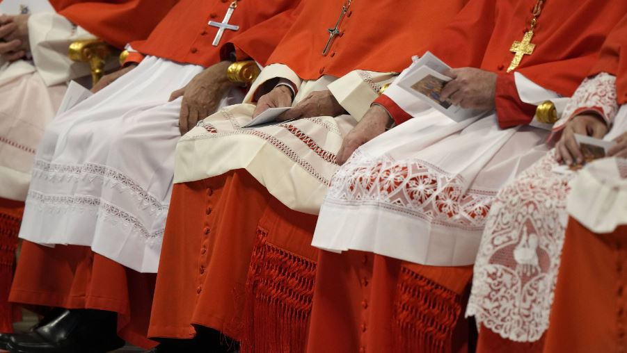 cardinaux-3.jpg