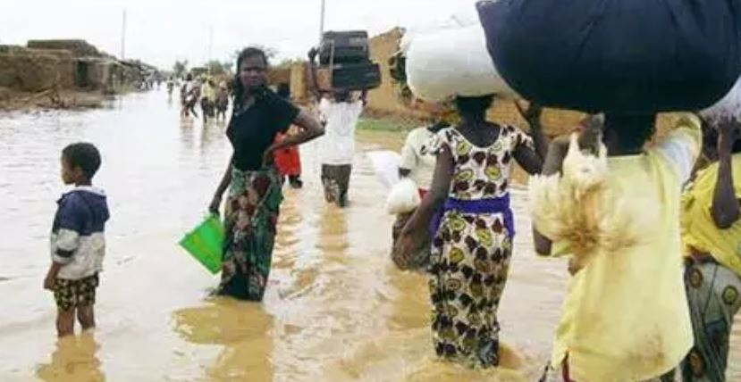 mali-2.jpg
