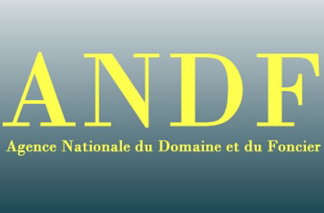 andf-2.jpg