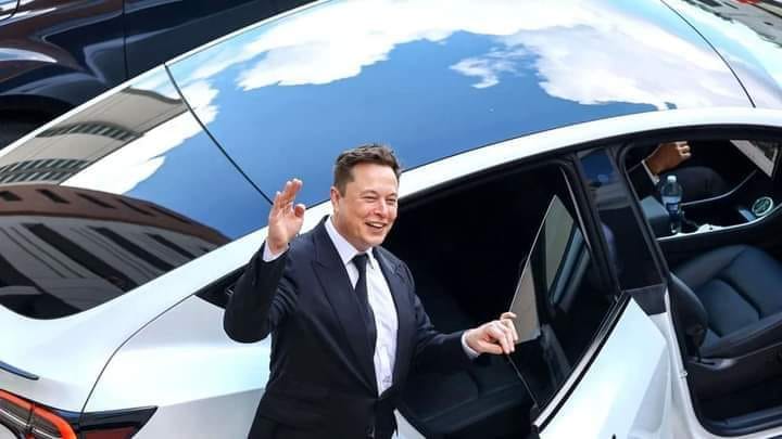 elon.jpg