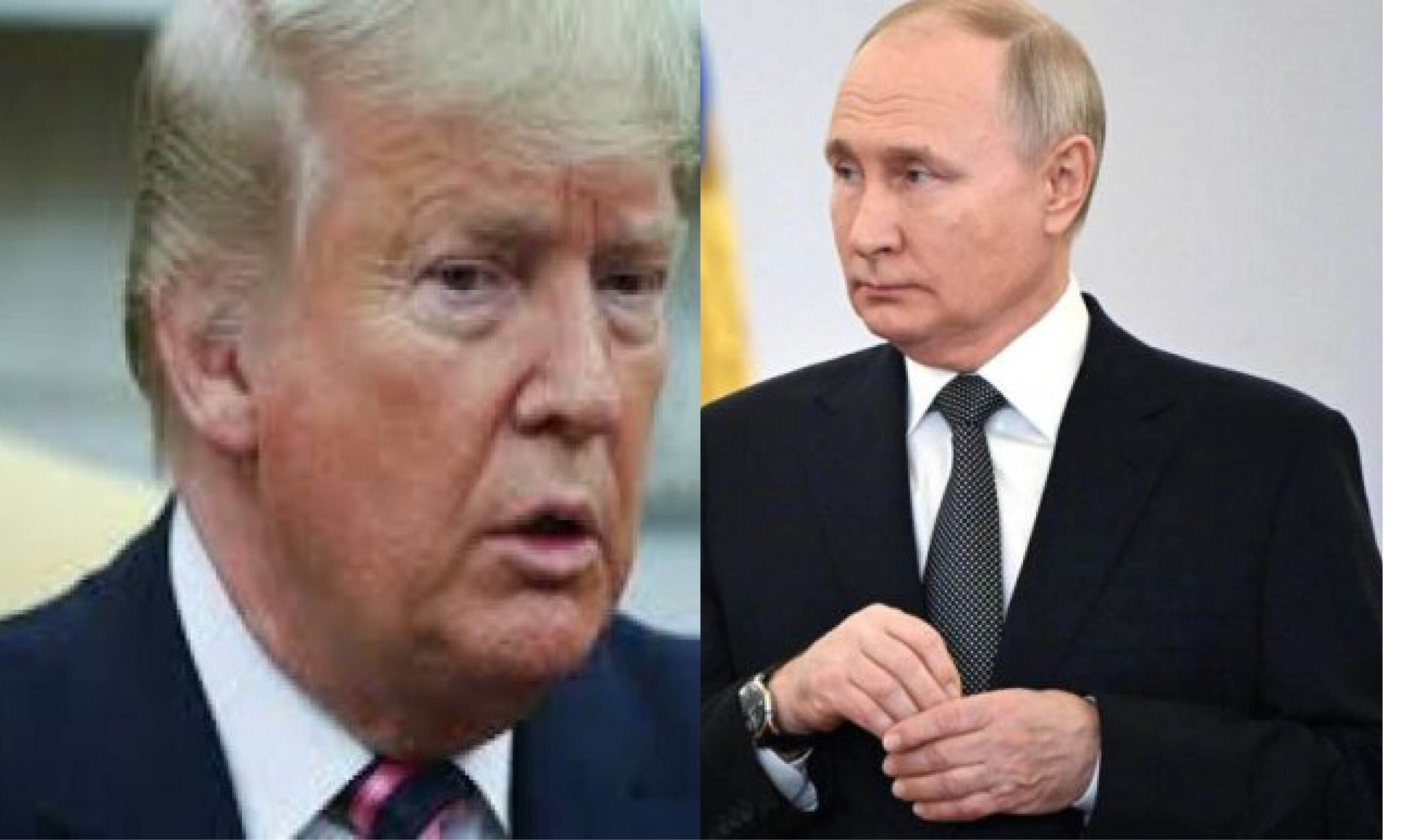 poutine_et_trump-4.jpg