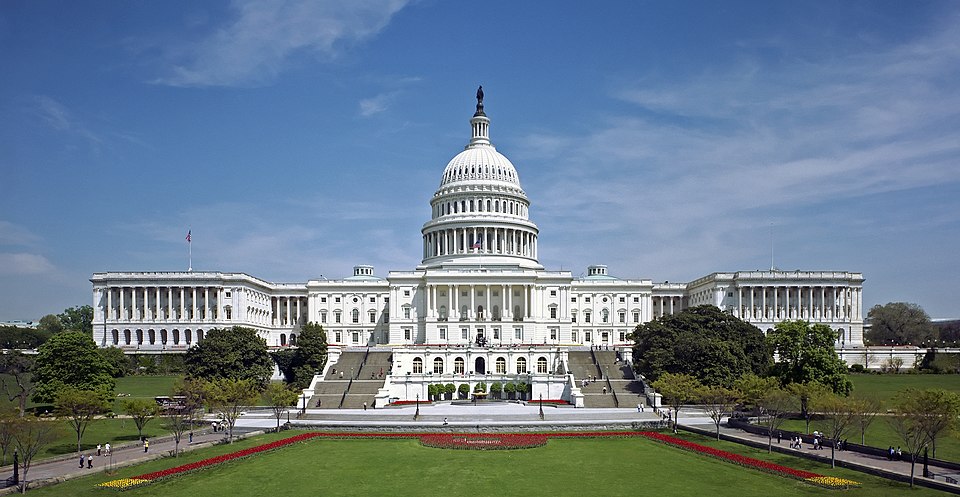 Etats-Unis : manifestation des béninois de la diaspora devant le Capitole, lire les détails