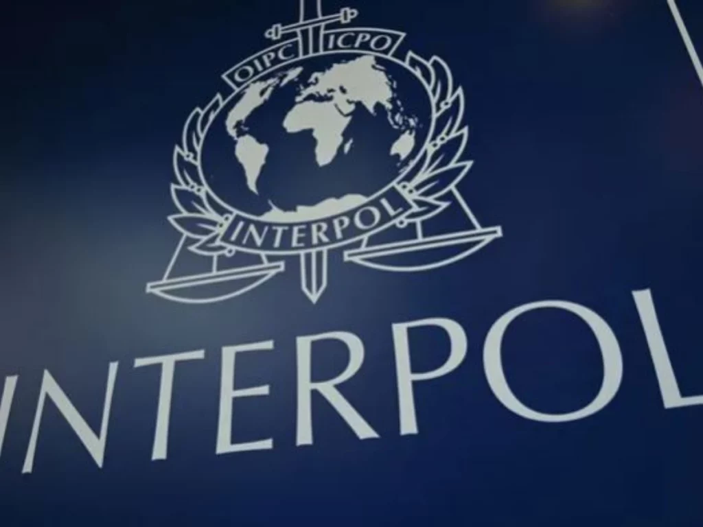 Sécurité : 1 462 présumés cybercriminels arrêtés