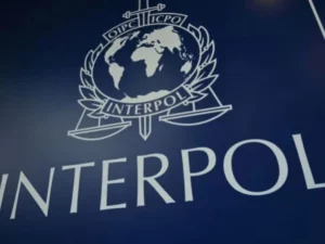 Sécurité : 1 462 présumés cybercriminels arrêtés