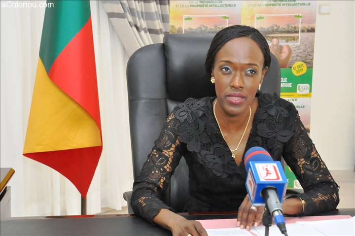 Bénin : le gouvernement interdit la commercialisation de trois marques de concentrés de tomates