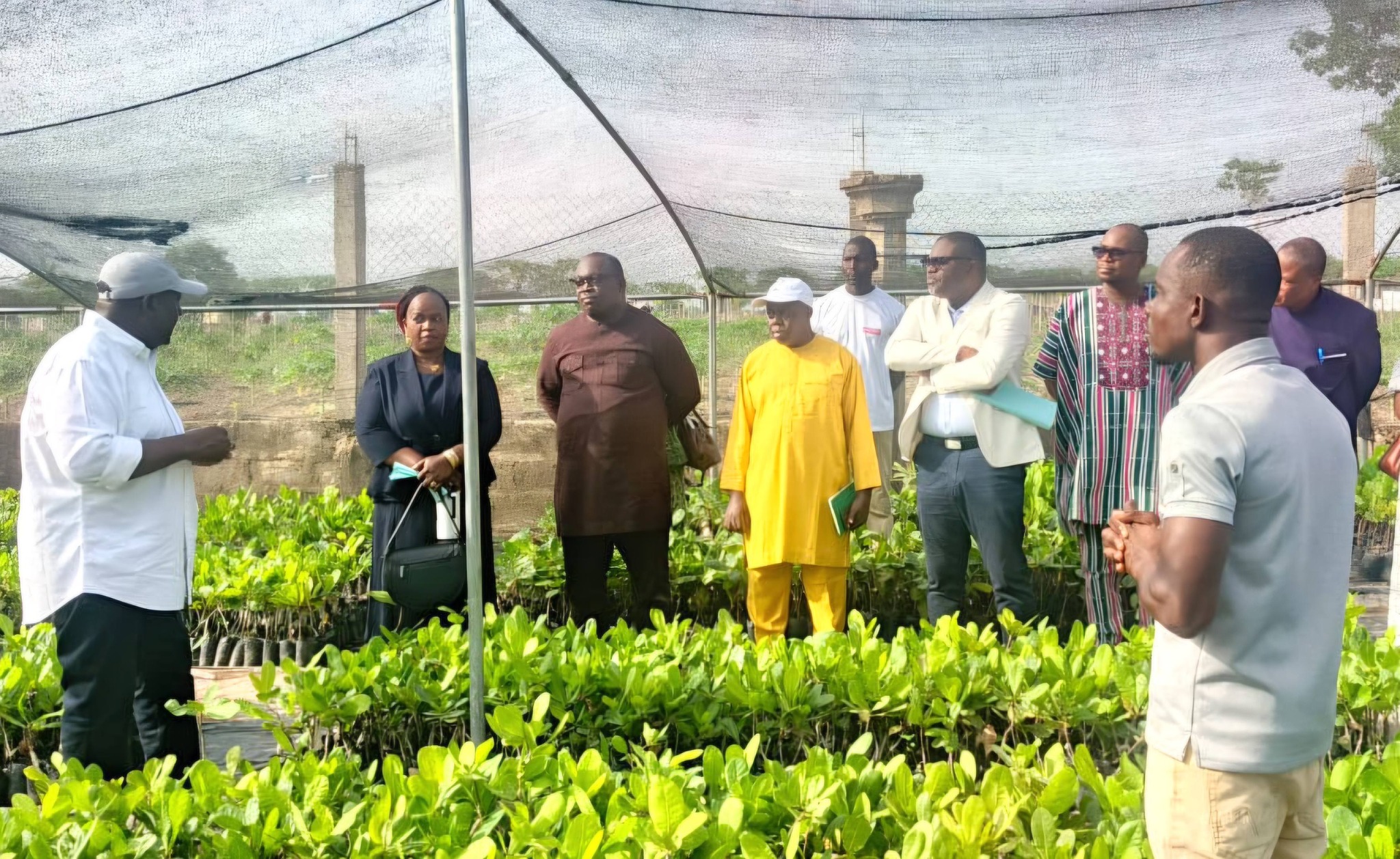 Campagne agricole