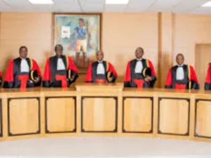 Cour constitutionnelle : un recours en inconstitutionnalité examiné jeudi