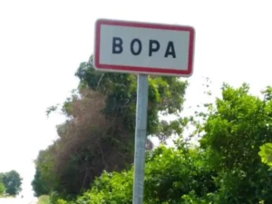 Bénin : une tentative de vol de mouton déjouée à Bopa