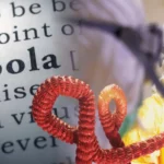 L’Union Africaine et l’OMS mobilisées face à la flambée d’Ebola en RDC et en Ouganda