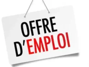 Emploi au Bénin : le PSIE recrute pour 15 postes de direction 