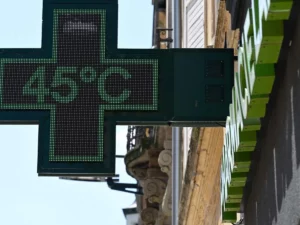 Canicule Europe : plus de 1 300 décès liés à la chaleur, l&rsquo;OMS tire la sonnette d&rsquo;alarme