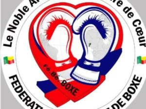 Boxe : La commission électorale lance le processus de renouvellement du comité exécutif de la fédération
