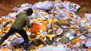 Ouidah : 95kg de cocaïne et autres produits illicites détruits à Ahozon