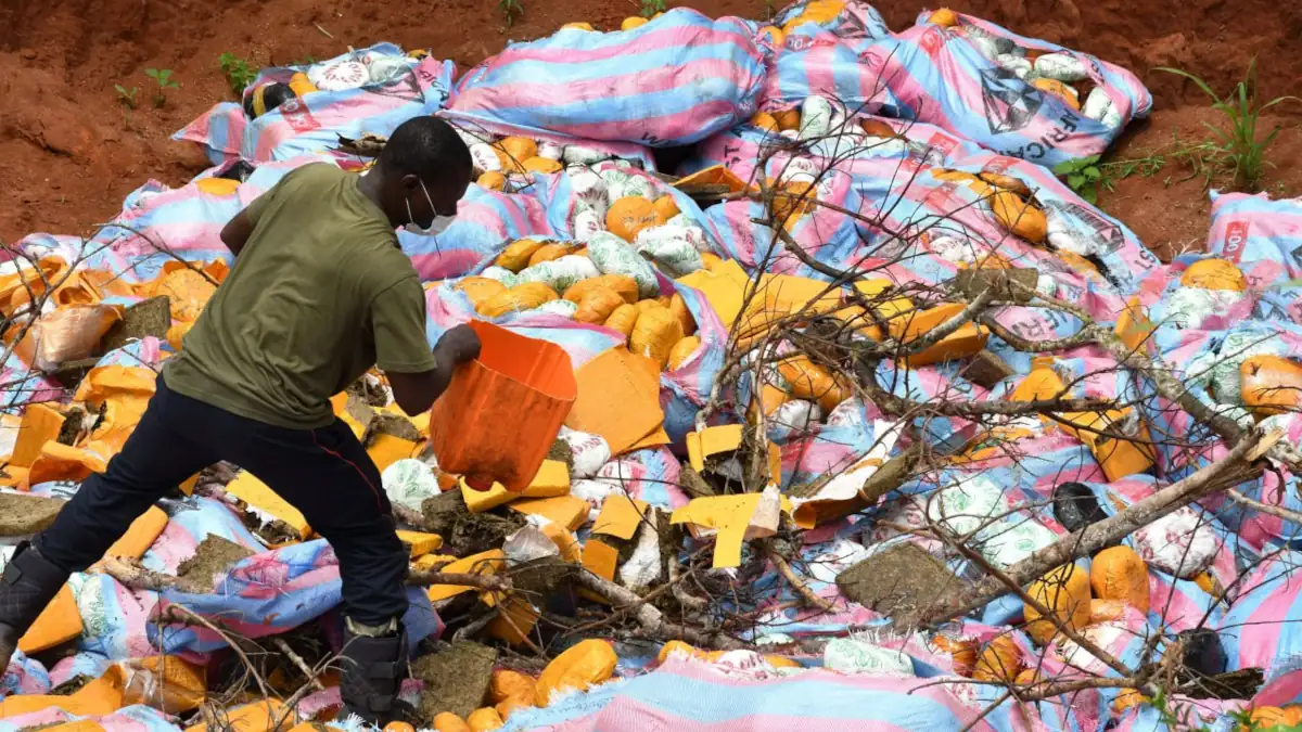 Ouidah : 95kg de cocaïne et autres produits illicites détruits à Ahozon