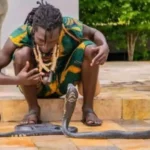 Bénin/Agla : Degaule PANDA alias le fou sage en renfort pour capturer un serpent qui dérange