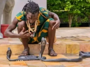Bénin/Agla : Degaule PANDA alias le fou sage en renfort pour capturer un serpent qui dérange