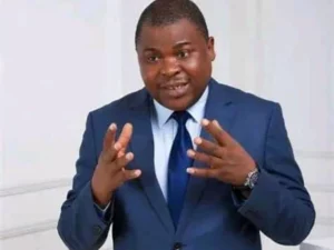 Bénin : de l’opposition ‘’modérée’’ au Sénat, le pari risqué mais gagnant de Paul Hounkpè