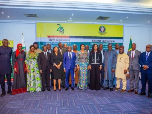 Parlement de la CEDEAO : la formalisation des micro, petites et moyennes entreprises au centre d&rsquo;une réunion délocalisée à Cotonou