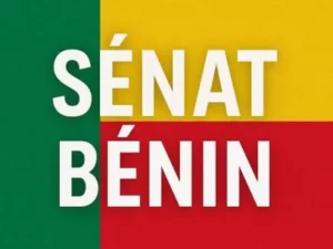 Sénat au Bénin : ancien maire de Parakou désigné parmi les personnalités appelées à siéger