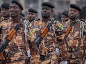 Bénin : la douane saisit 20000 paquets de cigarette