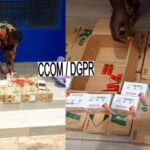 Bénin : 3250 cartouches de calibre 12 saisies à Parakou, un individu interpellé