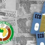 CEDEAO : des doutes sur le respect du calendrier  de lancement de l’ECO