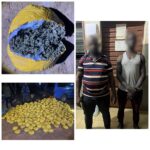 Bantè : 1031 boules de chanvre indien saisies, deux Togolais interpellés