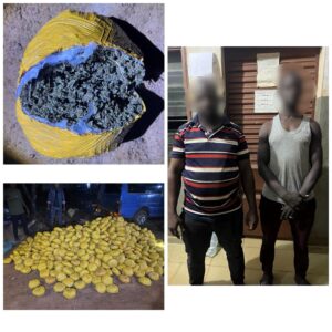 Bantè : 1031 boules de chanvre indien saisies, deux Togolais interpellés