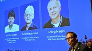 Prix Nobel de médecine 2026 : un trio américain et allemand sacré